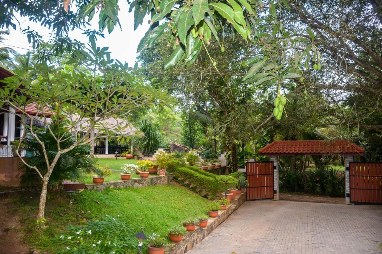 Goyambokka Guesthouse Tangalle Kültér fotó