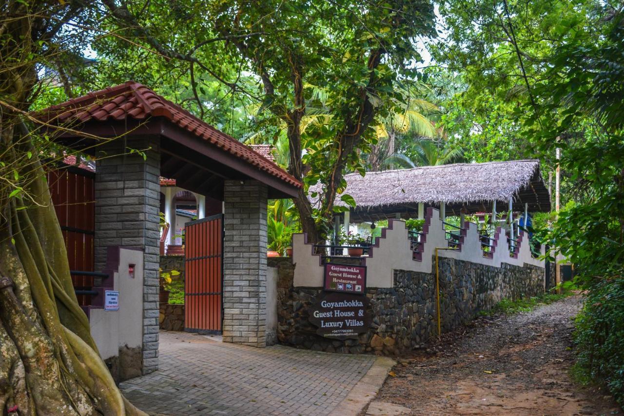 Goyambokka Guesthouse Tangalle Kültér fotó