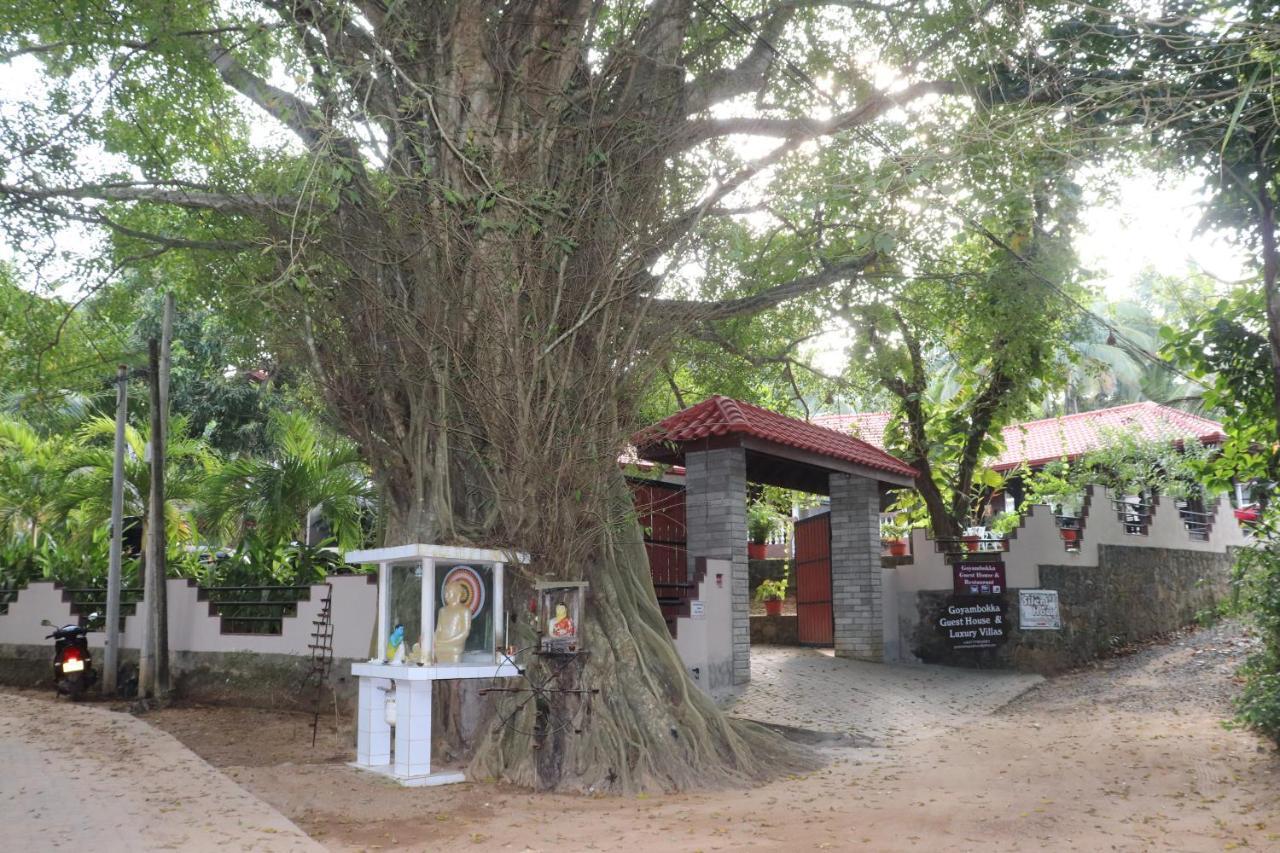 Goyambokka Guesthouse Tangalle Kültér fotó